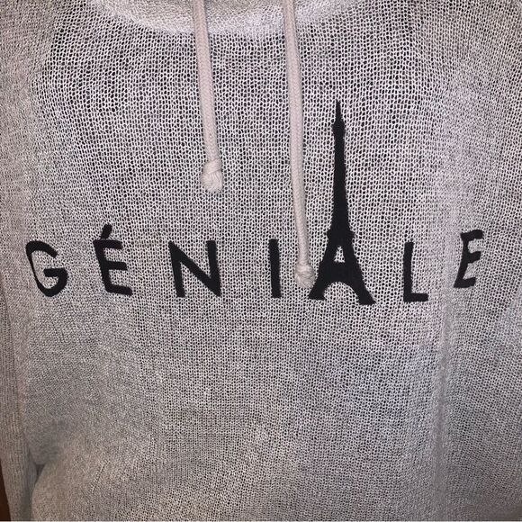 H&M Geniale Grey Thin Sweater Hoodie - Picture 2 of 5